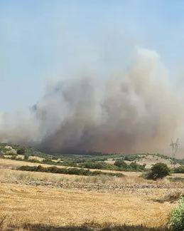 Balıkesir'deki orman yangını kontrol altına alındı - Resim: 19